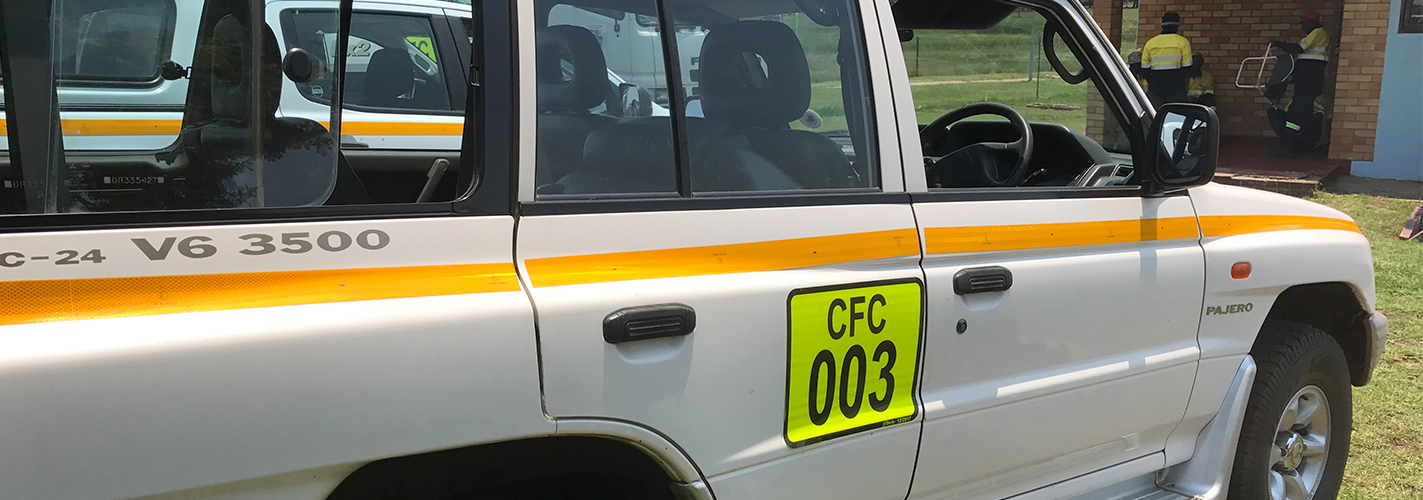 shutterstock_146958269